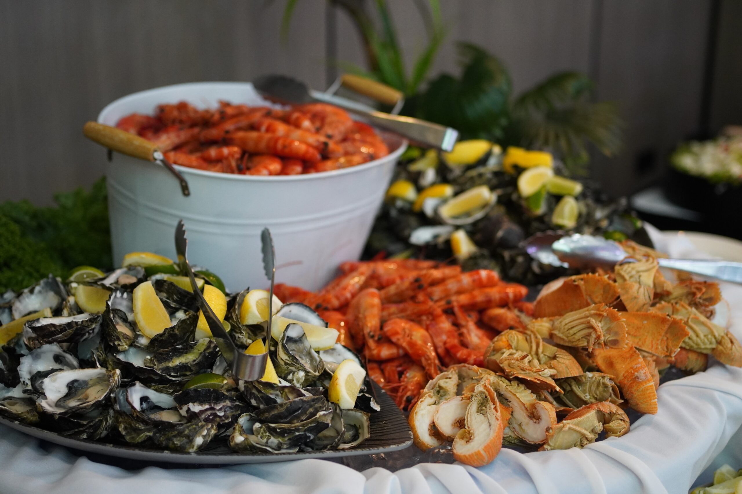 Food Image