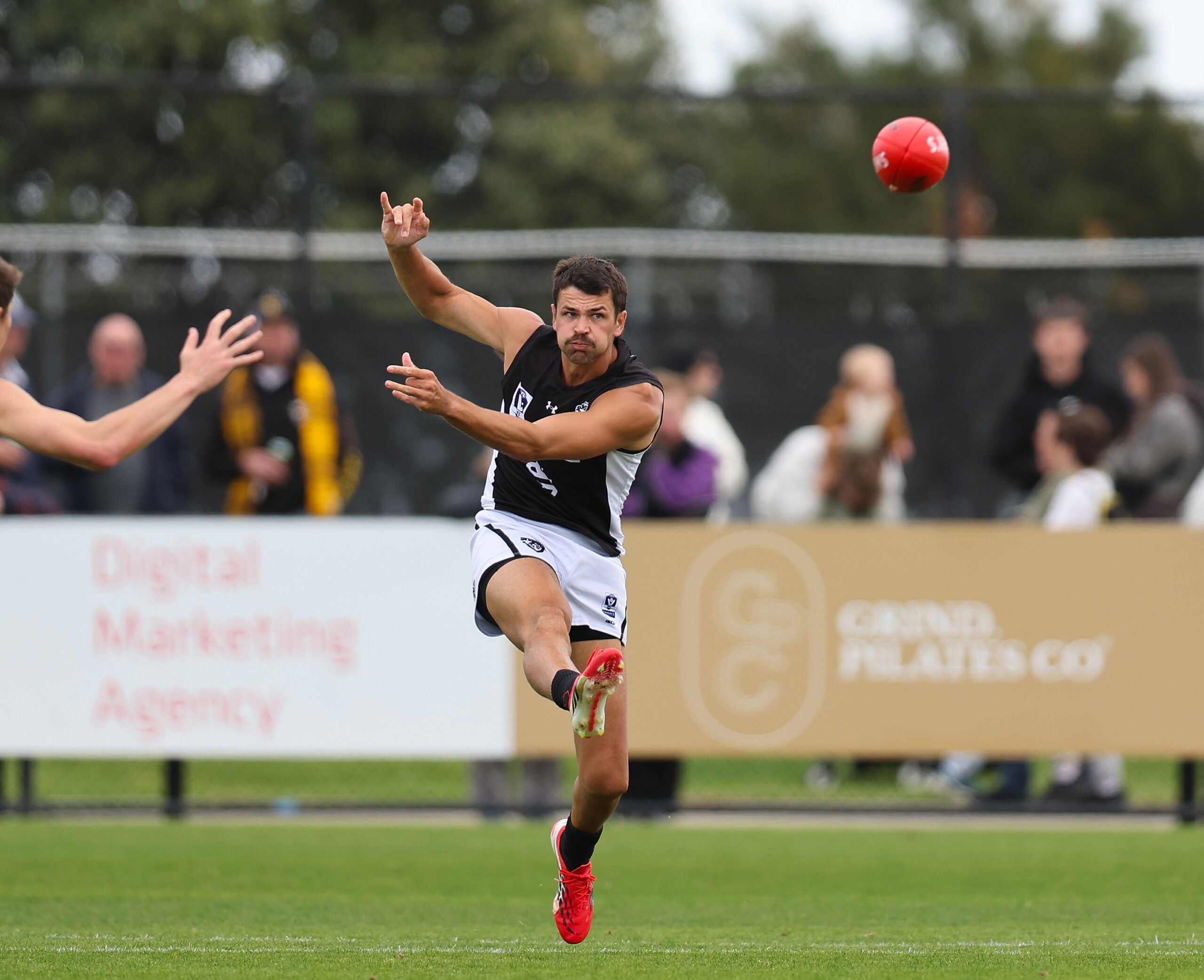 Seagulls surge early to defeat Sharks - VFL Round 4