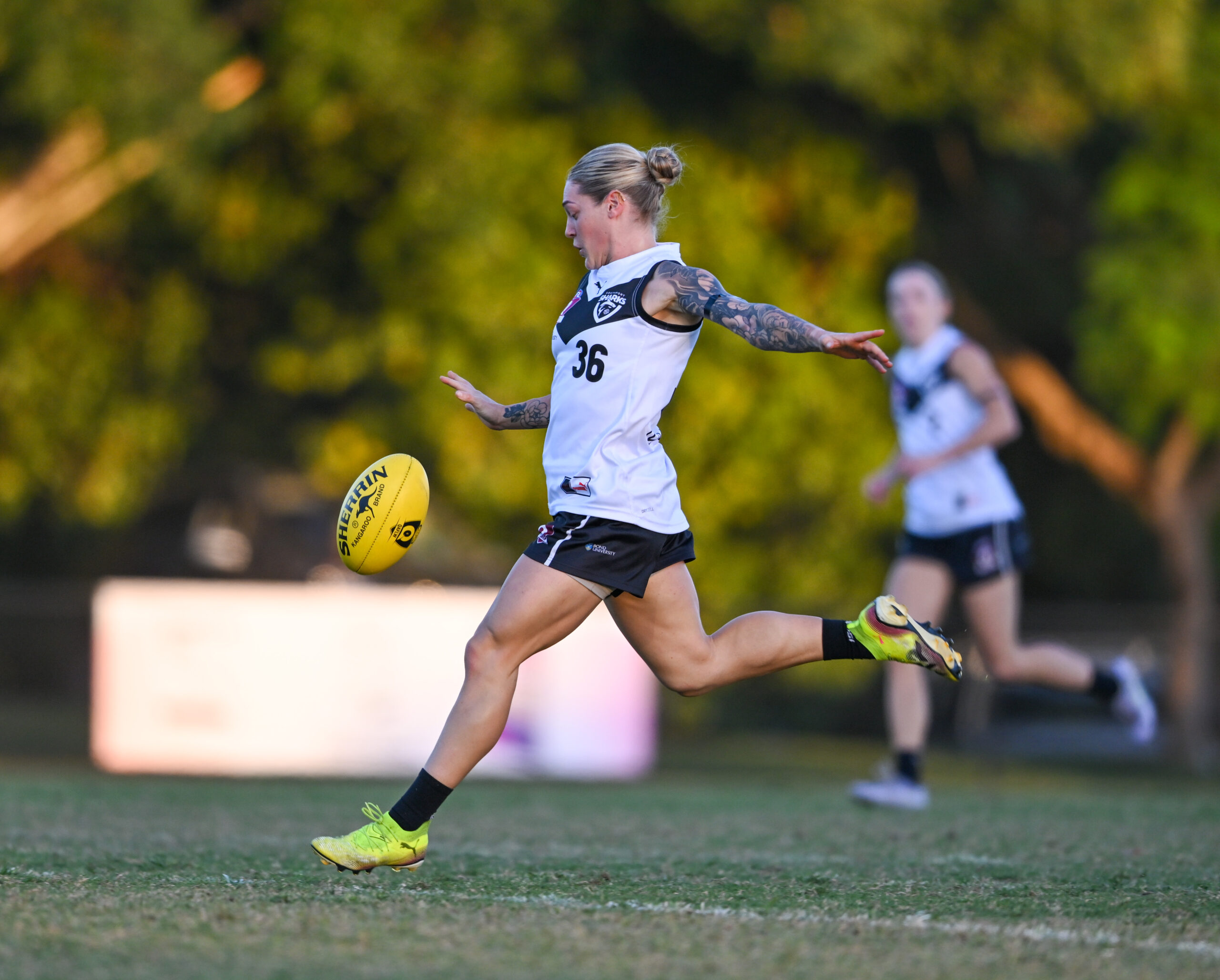 SOUTHPORT SHARKS 2026 QAFLW ROUND 5