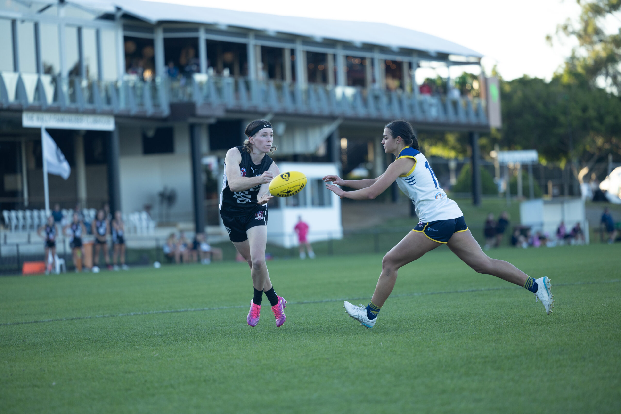 Southport Sharks QAFLW Round 8 2026
