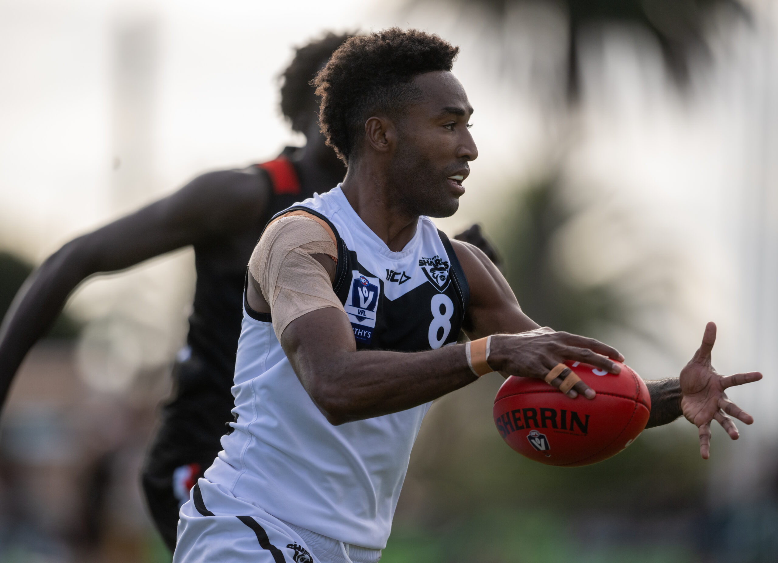 Dolphins pull away from Sharks in Frankston