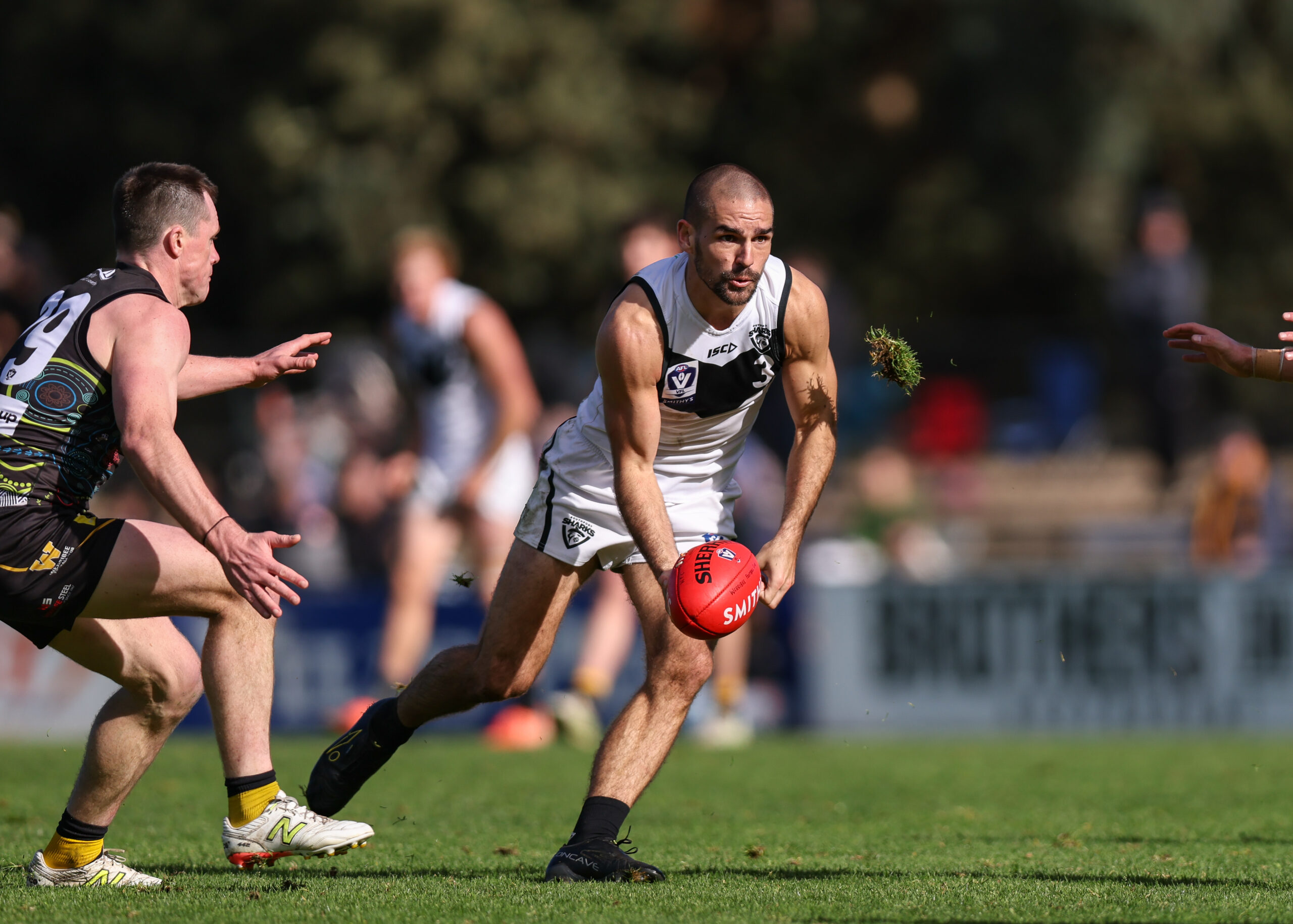 Werribee holds off spirited Sharks fightback