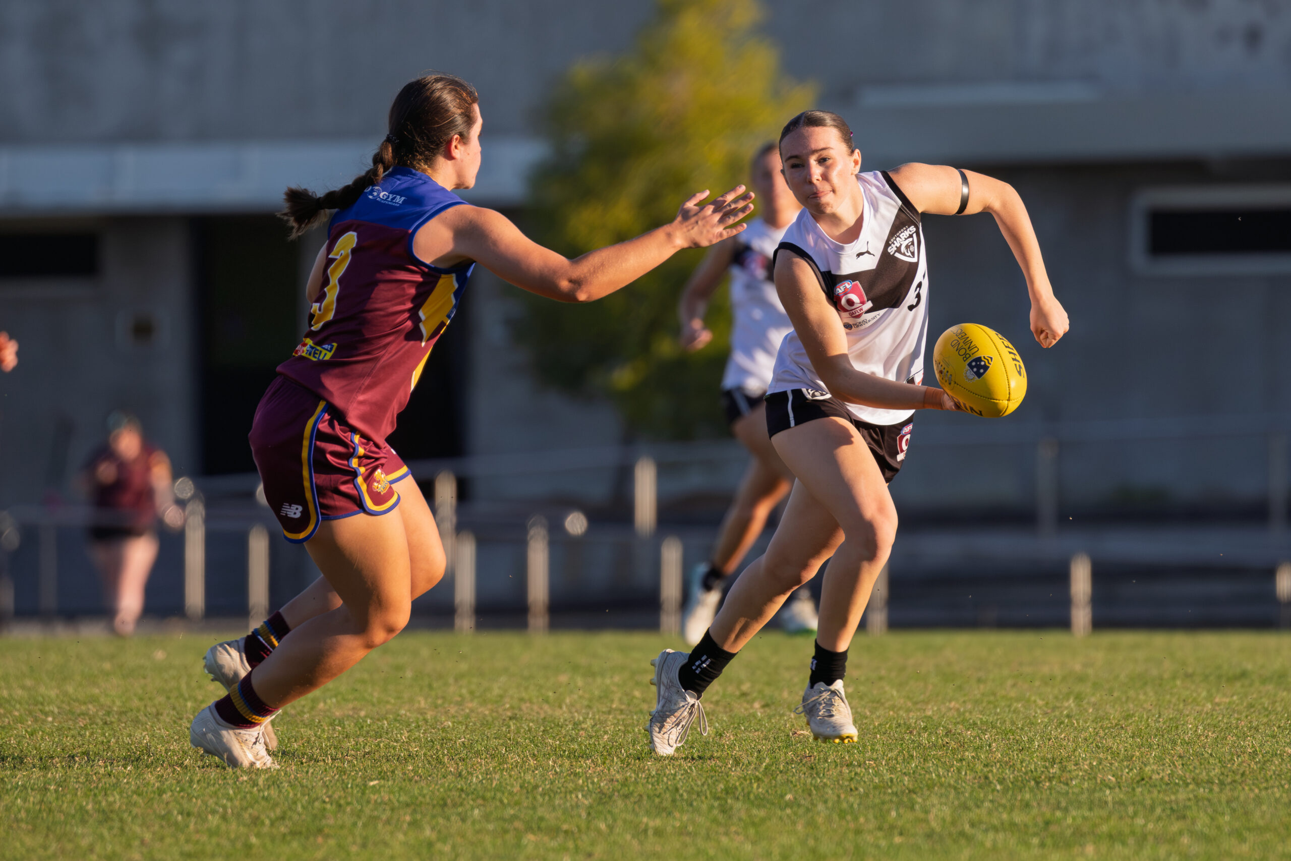 Southport Sharks QAFLW Round 16 2026