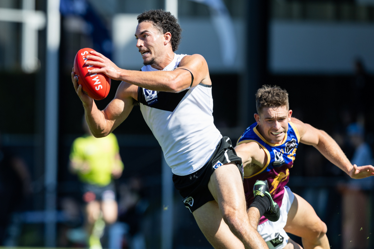 Lions prove too strong in Sharks’ final home game